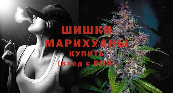 мет Бородино