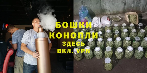 мет Бородино