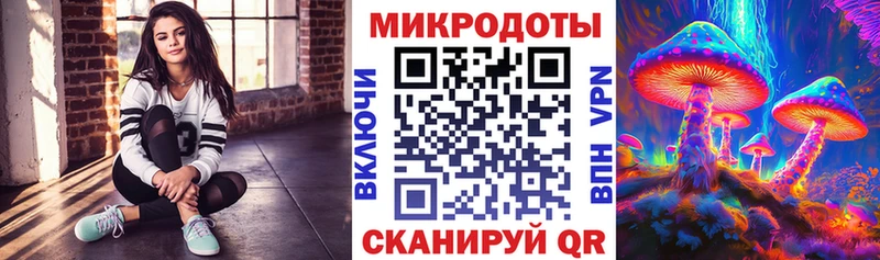 Купить где  Сольвычегодск  Псилоцибиновые грибы Psilocybe 